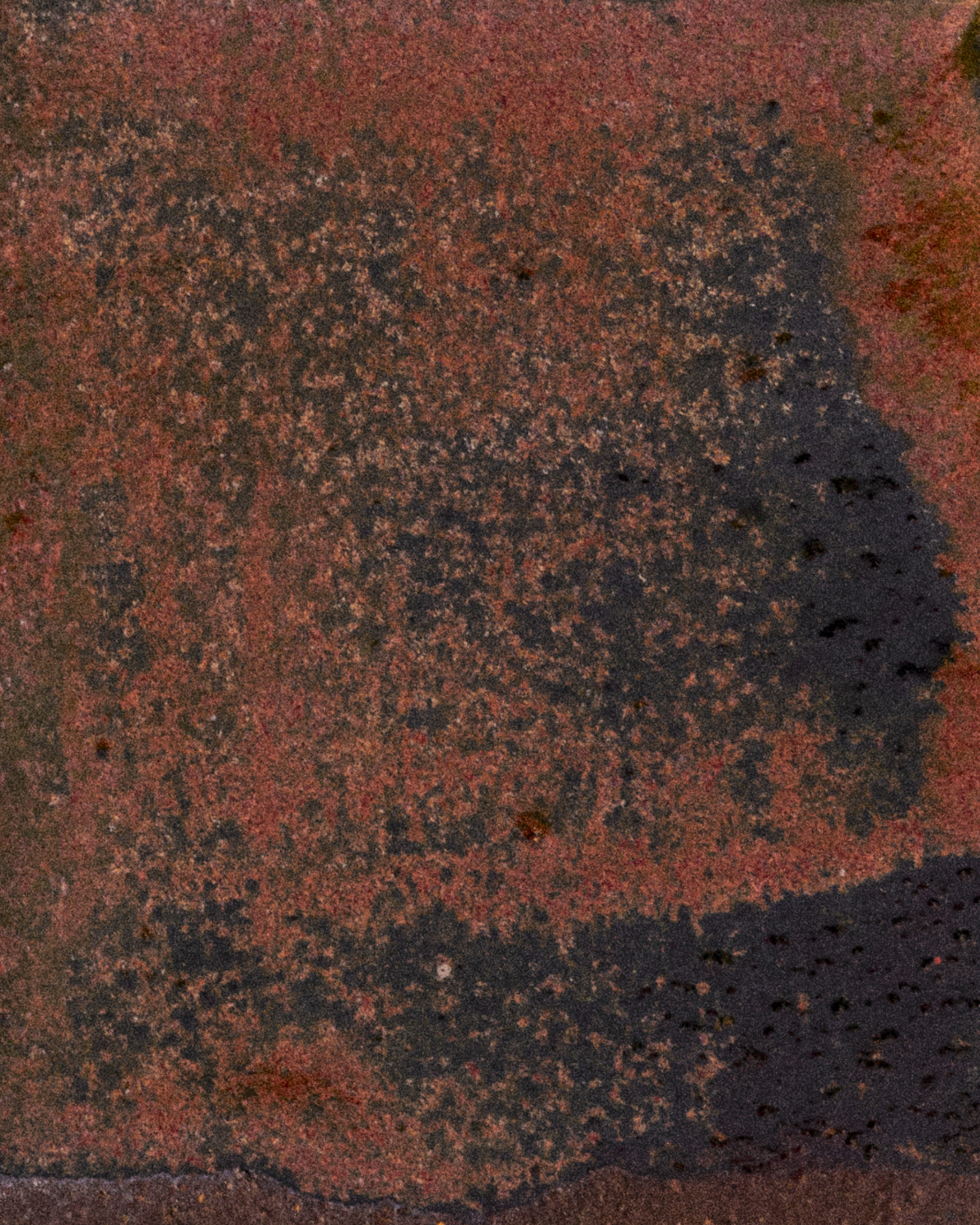 RED SHINO
